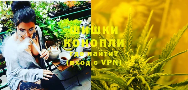 индика Приозерск