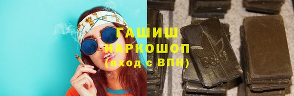 индика Приозерск