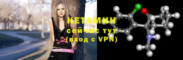 индика Приозерск