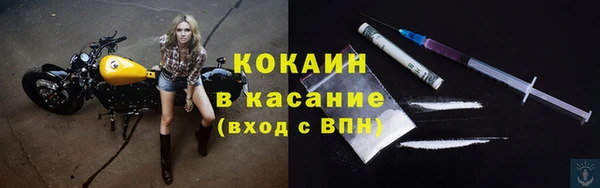 индика Приозерск