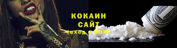 прущие грибы Протвино