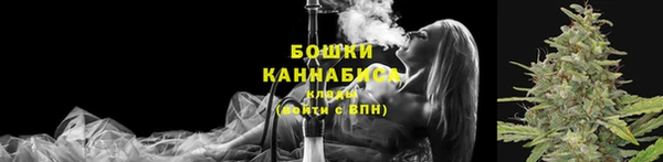 индика Приозерск