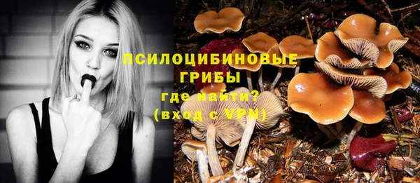 индика Приозерск