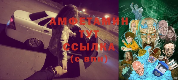 прущие грибы Протвино