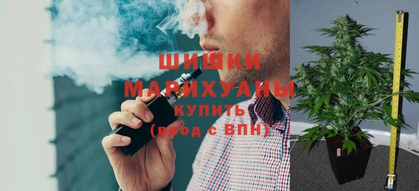 прущие грибы Протвино