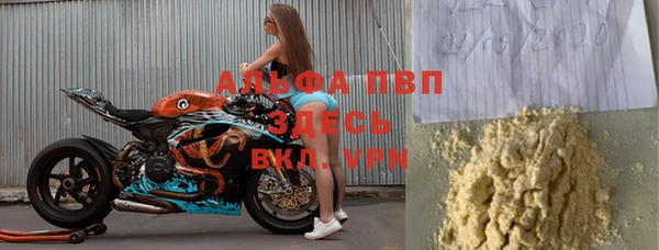 прущие грибы Протвино