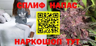 крисы Балаково