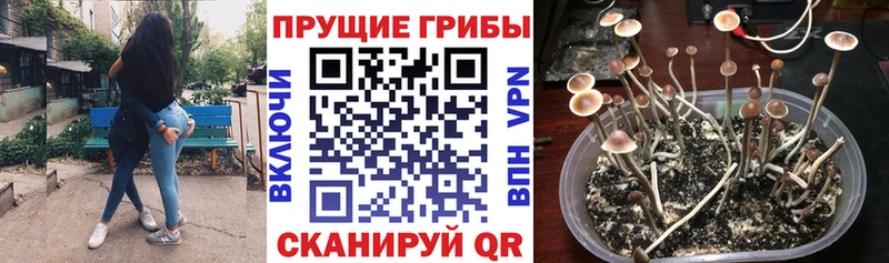 Галлюциногенные грибы ЛСД наркошоп Луховицы