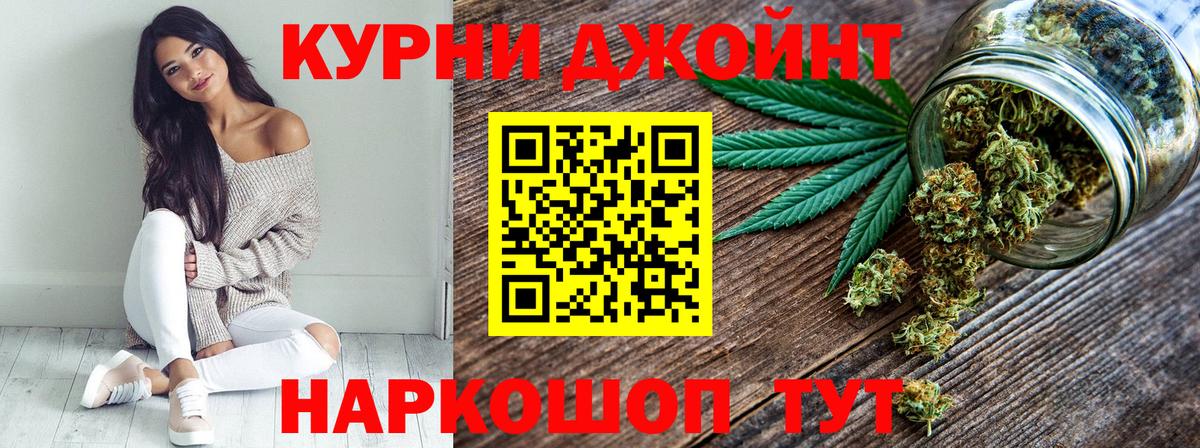 Конопля сатива Луховицы